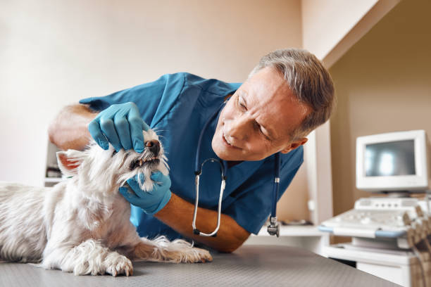 Best Emergency Tooth Extraction in Lockhart, FL
