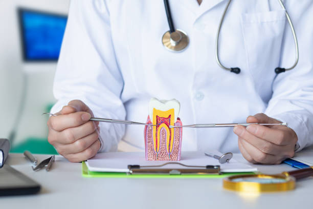 Best Emergency Treatment for Toothache in Lockhart, FL